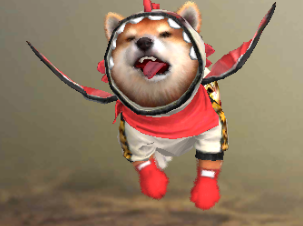 SHIBA